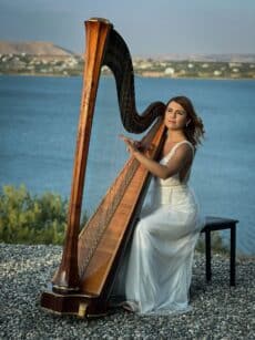 les cours de harpe en ligne unizic